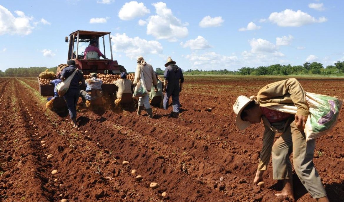 La agricultura, camino tortuoso