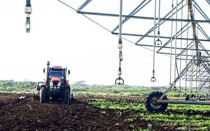 Estrategia empresarial pretende recuperar gestión agropecuaria estatal en Jobabo