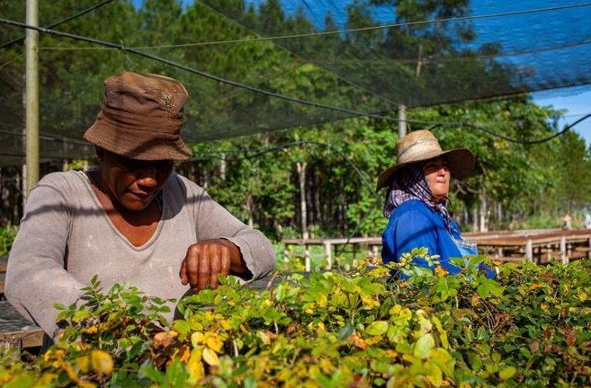 Hacer agricultura con enfoque de paisaje