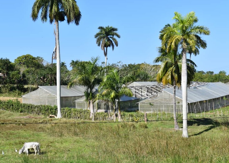 Abierto a consulta anteproyecto de Ley de propiedad, posesión y uso de la tierra