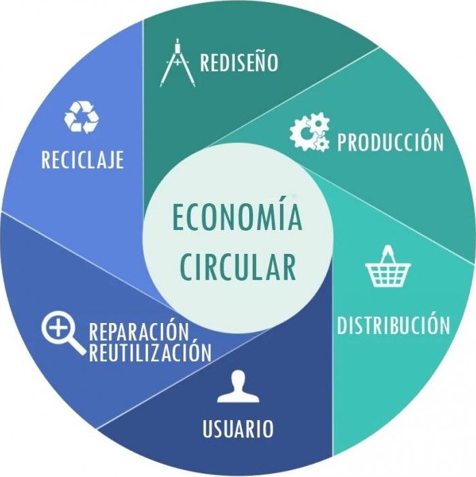 Con un enfoque innovador y un compromiso real con la formación interdisciplinaria, surge en la casa de altos estudios la Red Universitaria Gestión para el Desarrollo de la Economía Circular