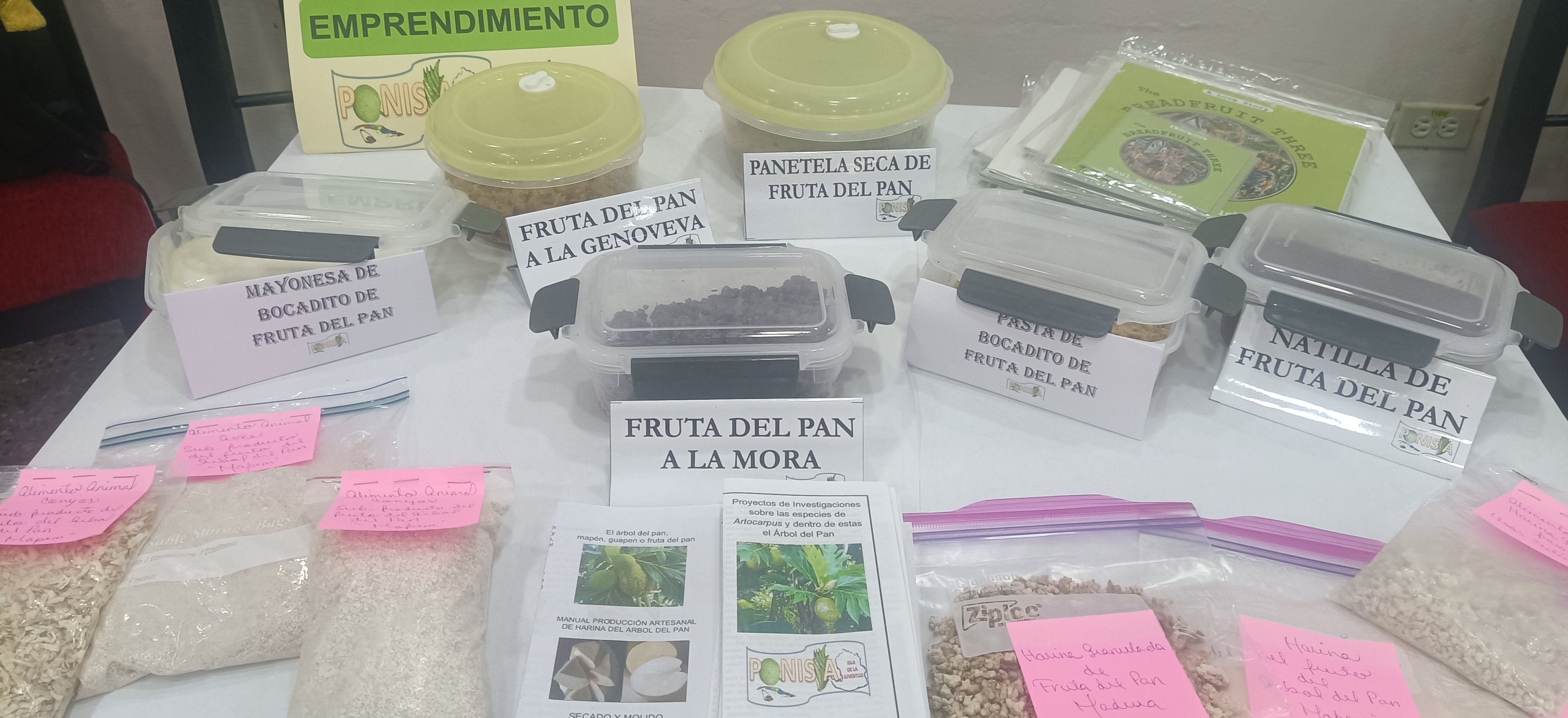 Árbol del pan, entre ciencia y perspectivas