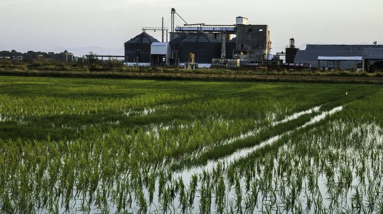 Premian investigaciones en ciencias agrarias y de la pesca