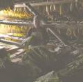El oro verde que da la tierra en Pinar del Río