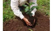 Hacer agricultura con enfoque de paisaje