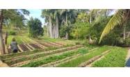 Cuba avanza  hacia ley de la tierra
