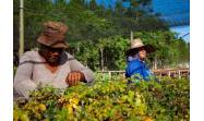 Hacer agricultura con enfoque de paisaje