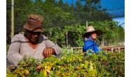 Hacer agricultura con enfoque de paisaje