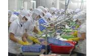 Vietnam se afirma como tercer exportador mundial productos pesqueros