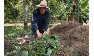 Sabiduría campesina de Enio