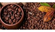 Baracocoa, delicias que se anuncian