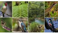 Nueva iniciativa apuesta por la protección de la biodiversidad