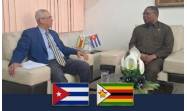 Estrechando vínculos con Zimbabwe