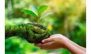 Política ambiental sigue siendo una prioridad del Estado cubano