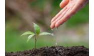 Inicia Cuba transición hacia nueva versión de norma de gestión ambiental