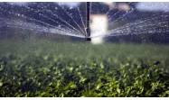 Novedades de la Ley de tierra agropecuaria y forestal