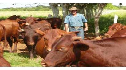 Feria nacional de ganado