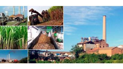 El cuidado medioambiental en la ruta revitalizadora de la agroindustria azucarera