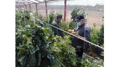 Isla de la Juventud impulsa plan de educación y comunicación sobre la Ley SSAN