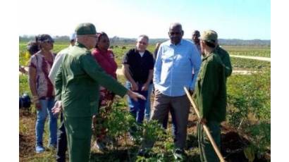 En la agricultura de Cuba debemos hacer mucho más, dijo el miembro del Buró Político del Comité Central del Partido Esteban Lazo Hernández