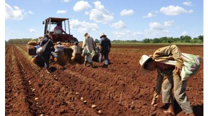 La agricultura, camino tortuoso