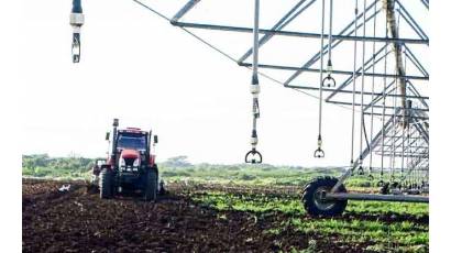 Estrategia empresarial pretende recuperar gestión agropecuaria estatal en Jobabo