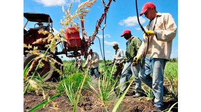 Los índices productivos del sector agroalimentario muestran tendencia al incumplimiento