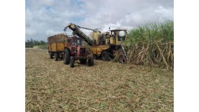 Se prevé mejorar la situación económica y productiva del sector azucarero