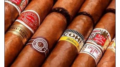 Habanos S.A. arriba a sus 30 años con récord en los ingresos