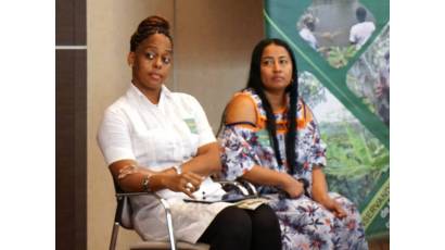 Sector forestal de Cuba en evento paralelo de COP 16