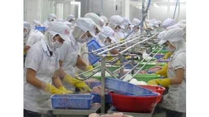 Vietnam se afirma como tercer exportador mundial productos pesqueros