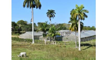 Abierto a consulta anteproyecto de Ley de propiedad, posesión y uso de la tierra