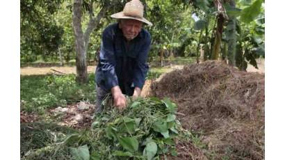 Sabiduría campesina de Enio