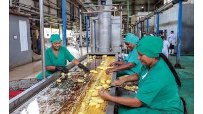 Fruta, industria y resiliencia: así produce Ceballos en Ciego de Ávila