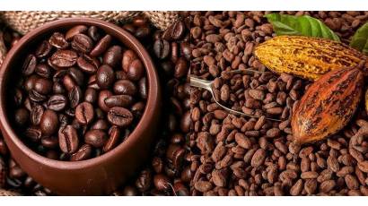 Baracocoa, delicias que se anuncian