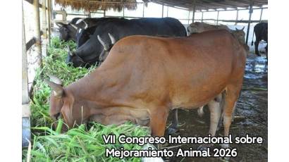 Por una ganadería con ciencia