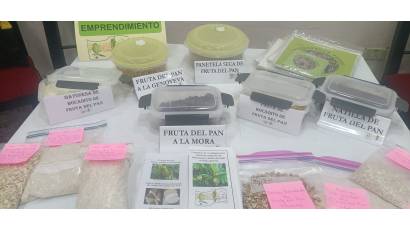 Árbol del pan, entre ciencia y perspectivas