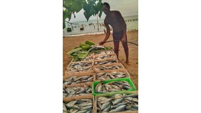 Pesca, raíces y compromiso social en Guamá