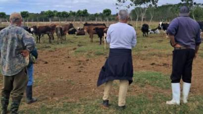 Impulsan en Mayabeque producción animal en alianza con la ACPA