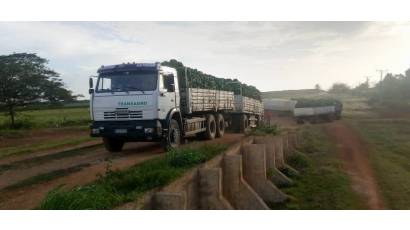 La Cuba sigue marcando el paso en la agricultura cubana