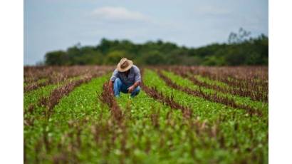 Transformaciones necesarias para mayor producción