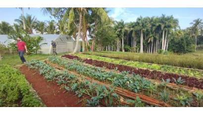 Cuba avanza  hacia ley de la tierra