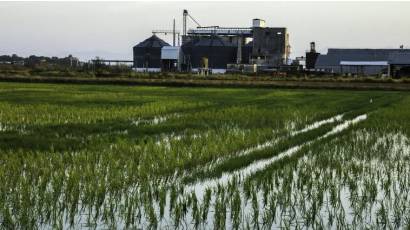 Premian investigaciones en ciencias agrarias y de la pesca