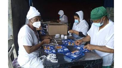 La Conchita se consolida como polo exportador-importador de Pinar del Río