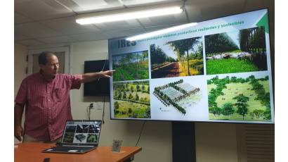 Avanza proyecto IRES