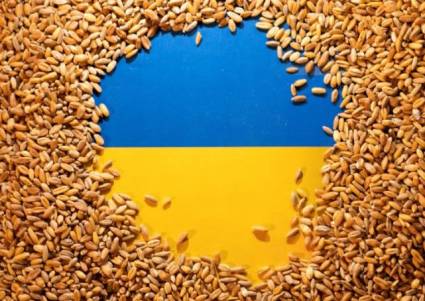 Las exportaciones ucranianas de grano en mayo aumentan un 67%, según el Ministerio