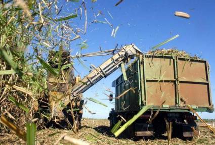 Cuba trabaja en modernización de centrales azucareros