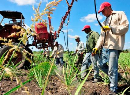 Los índices productivos del sector agroalimentario muestran tendencia al incumplimiento