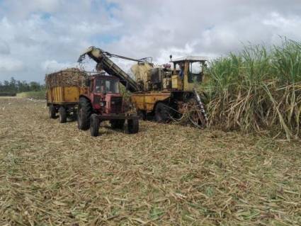 Se prevé mejorar la situación económica y productiva del sector azucarero