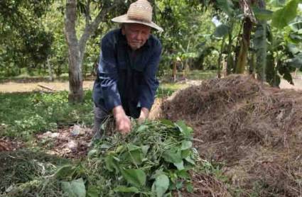 Sabiduría campesina de Enio